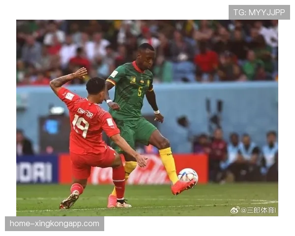 喀麦隆身体素质 非洲球队战术多样性展现